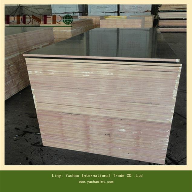 18mm Film Faced Plywood for Kuwait