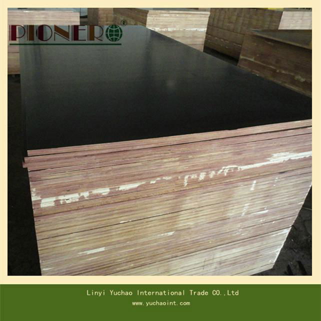 18mm Film Faced Plywood for Kuwait (China Trading Company) Timber