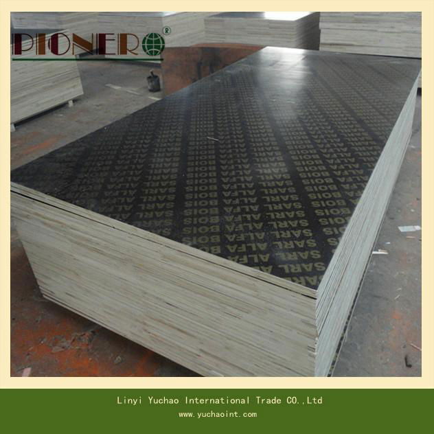 18mm Film Faced Plywood for Kuwait 4