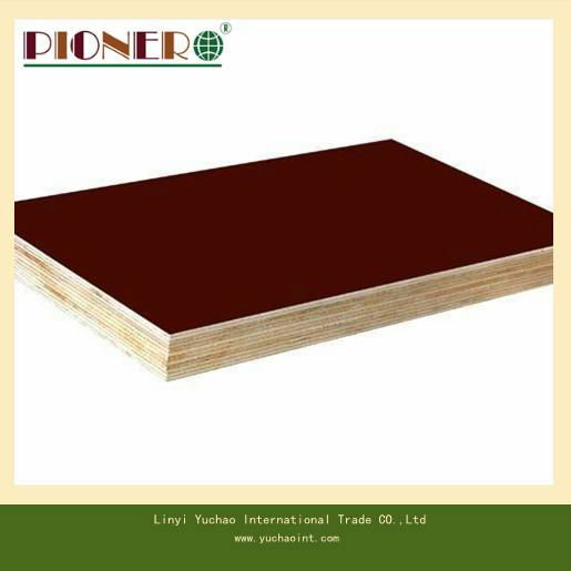 Film Faced Plywood for Dubai UAE Market 3