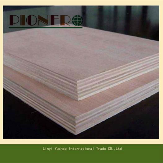 Commercial Plywood for Furniture or Packing