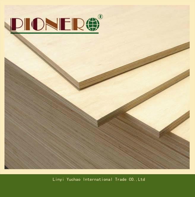 Commercial Plywood for Furniture or Packing 2