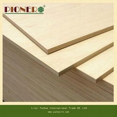 White Oak Plywood for Furniture with E0 Glue