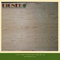 High Quality Fancy Plywood for Malaysian 1