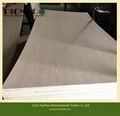 High Quality Fancy Plywood for Malaysian 2