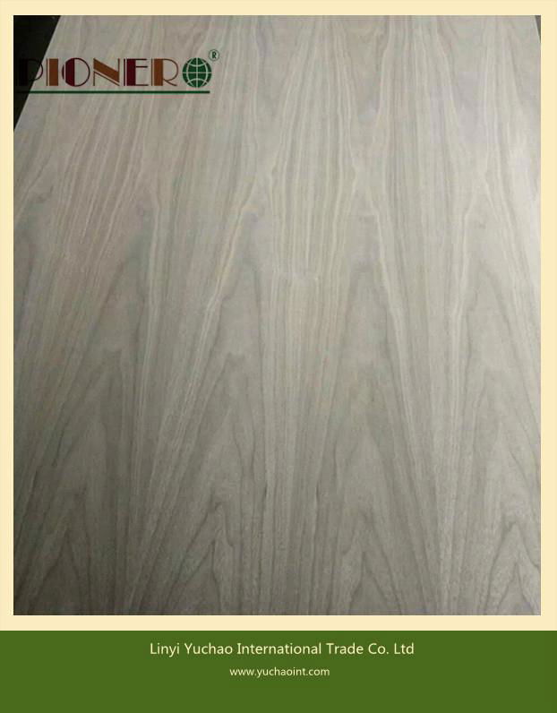 Natural Teak Plywood for Iraq Market 2