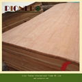 4'x8'x0.3mm Natural Plb Veneers for Indian Market 1