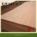 4'x8'x0.3mm Natural Plb Veneers for Indian Market 4