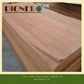 4'x8'natural Plb Veneers for Indian Market 2