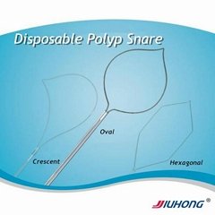 Single Use Polypectomy Snare for Gastroscope