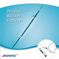 Jiuhong Single Use Dilation Balloon Catheter 