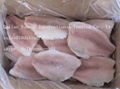 FROZEN TILAPIA FILLETS(FARMED) 3