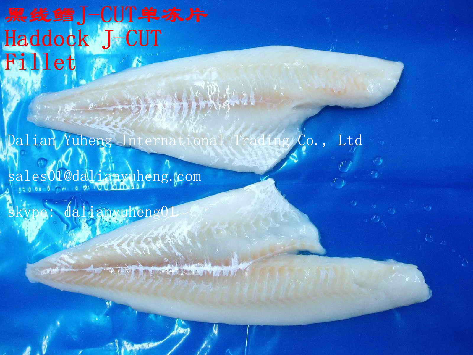 FROZEN HADDOCK FILLET 4