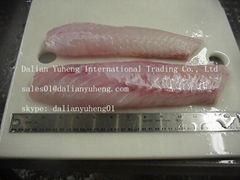 FROZEN PACIFIC HAKE FILLETS