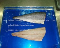 FROZEN SAITHE FILLETS