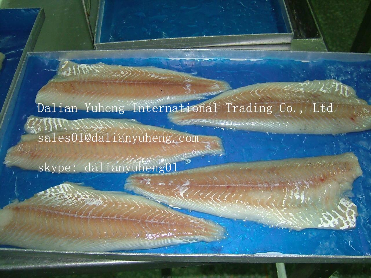 FROZEN SAITHE FILLETS YUHENG (China Manufacturer) Aquatic Products