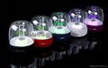 Colorful LED Light Bluetooth Speaker