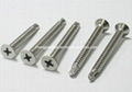 Stainless Steel Phillips Head Screws 1