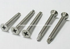 Stainless Steel Phillips Head Screws