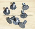 Sealed Type Touch Welding Blind Rivet