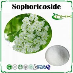 Fructus sophorae extract 98% sophoricoside