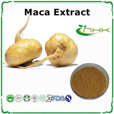 Maca root extract maca powder 4:1