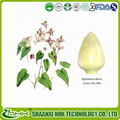 100% Natural epimedium extract icariin