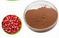 Red bean powder 1