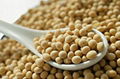 Soybean extract 1