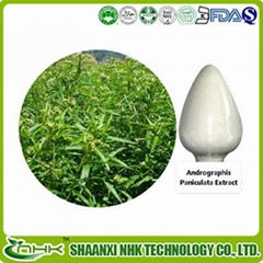 Andrographis Paniculate Extract