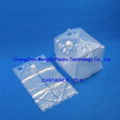 Gusseted type Bag-In-Box Cheertainer 2