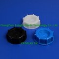 54mm screw Cap with shaped conic plug 4