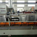 EVA cars interior sheet extruder production line 1