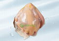 Vacuum Shrink Bags-SC-for Poultry 2