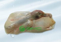 Vacuum Shrink Bags-SC-for Poultry