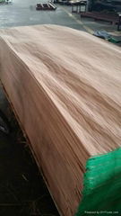 supply film faced plywood whatsapp:008618769976633