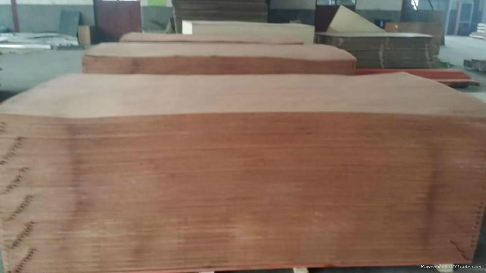 supply film faced plywood whatsapp:008618769976633 3
