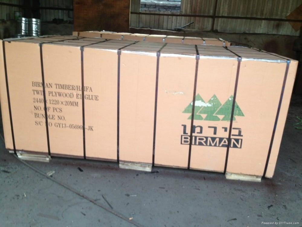 supply film faced plywood whatsapp:008618769976633 4
