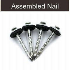 Assembled roofing screw nails