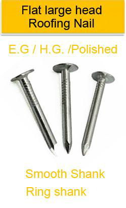 Assembled roofing screw nails 3