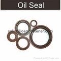 Oil seals O Ring seals  2