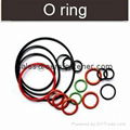 Oil seals O Ring seals