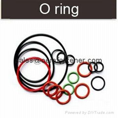 Oil seals O Ring seals 