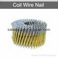 Coil nails pallet nails