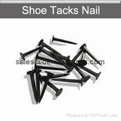 Shoe tacks shoe nails