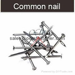 common nails