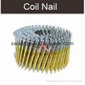 Coil nails