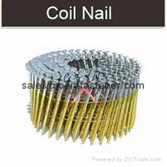 Coil nails 