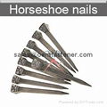 Horseshoe nails