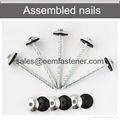 Assembled roofing screw nails